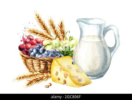 Carte Shavuot. Blé, lait, produits laitiers, raisins. Symbole de la fête juive de Shavuot. Aquarelle illustration dessinée à la main isolée sur fond blanc Banque D'Images