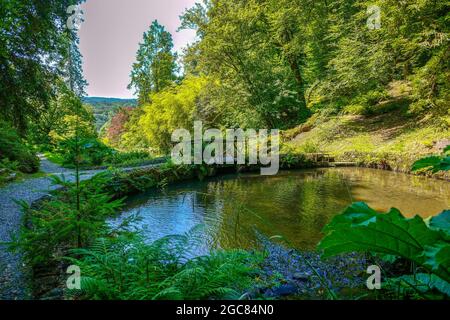 Hotel Endsleigh, Milton Abbot, Tavistock PL19 0PQ Banque D'Images