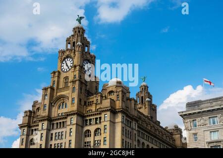 Les oiseaux du foie Bella et Bertie sur les tours de l'horloge du Royal Liver Building à Pier Head à Liverpool Banque D'Images