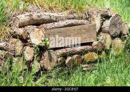 Man Made Bug Hotel à partir de billes et de matériaux naturels avec panneau sculpté. Hampshire Royaume-Uni Banque D'Images