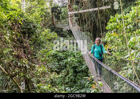 Promenade à la canopée dans la forêt tropicale, parc national de Gunung Mulu, Sarawak, Malaisie Banque D'Images