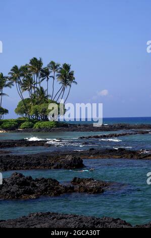 Snorkler explore les roches de lave et le monde sous-marin de la baie Anaehoomalu sur la côte de Kohala de la Grande île d'Hawaï. Banque D'Images