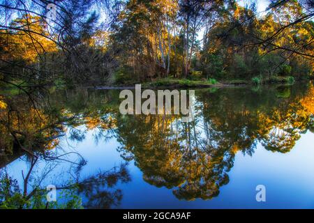 Végétation luxuriante sur les rives de la rivière Lane Cove dans le parc national de Lane Cove, Sydney, Australie. Banque D'Images