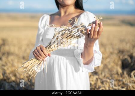 Femme en robe blanche se tient dans le champ avec le blé. Une personne tient dans les mains un paquet de spikettes mûres. Saison de récolte. Photo de haute qualité Banque D'Images