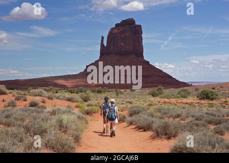 Falaise de Mitten Butte en grès rouge dans le parc tribal de Monument Valley Navajo avec des plantes écosystémiques au premier plan Banque D'Images