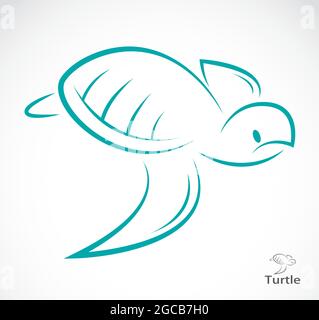 Image vectorielle d'une tortue sur fond blanc. Illustration vectorielle superposée facile à modifier. Animaux sauvages. Illustration de Vecteur