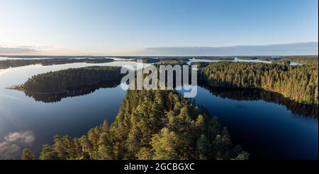 Forêt et lacs de la taïga dans la région de Saimaa en Finlande Banque D'Images