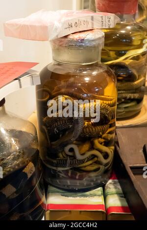 Serpents conservés dans des bouteilles utilisées pour la médecine chinoise, Hong Kong, Chine. Banque D'Images