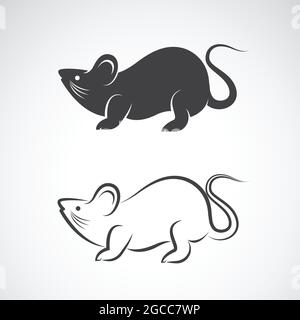 Image vectorielle d'un dessin de rat sur fond blanc. Illustration vectorielle superposée facile à modifier. Animaux sauvages. Illustration de Vecteur