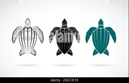 Vecteur de la tortue des groseilles à maquereau sur fond blanc. Animaux marins. Illustration vectorielle superposée facile à modifier. Illustration de Vecteur