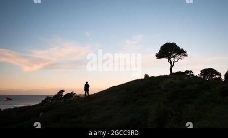 Un homme a silhoueté contre le ciel de coucher de soleil se tenant sur la colline et regardant la mer. Un arbre solitaire au sommet de la colline. Banque D'Images