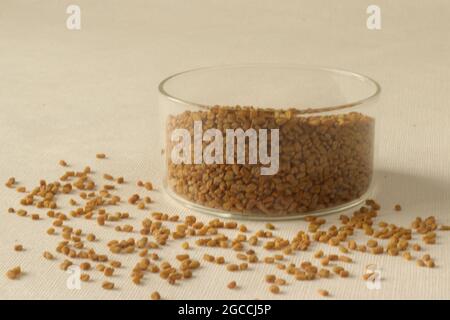 Le fenugrec ou uluva est une graine de plantes brun jaunâtre avec de nombreux avantages potentiels pour la santé, y compris l'amélioration du cholestérol et de la pression artérielle. Prise de vue activée Banque D'Images