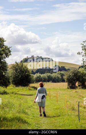 Femme marchant le long de la Tamise sentier longue distance approchant les touffes de Wittenham dans la campagne de l'Oxfordshire Banque D'Images