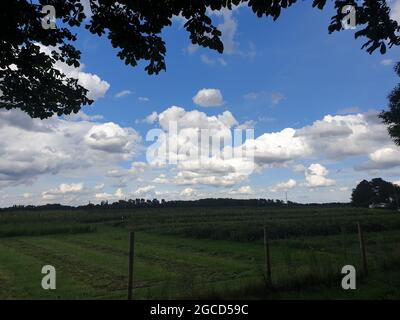 Zone de protection du paysage à Mülheim, Allemagne Banque D'Images