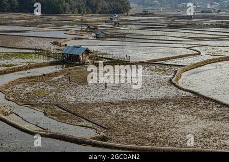 campagne ternish cadrage de riz champ avec de petites huttes au repos au matin image est prise à ziro arunachal pradesh inde. Banque D'Images