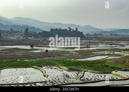 campagne ternish charming rizicole champ avec de petites huttes de repos et fond de montagne au matin image est prise au ziro arunachal pradesh inde. Banque D'Images