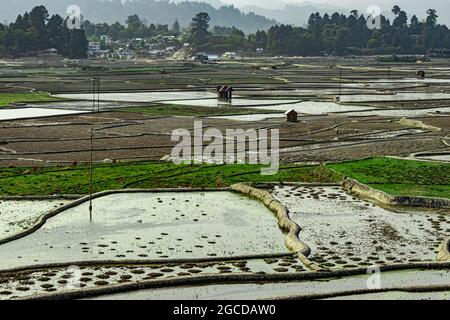 campagne ternish cadrage de riz champ avec de petites huttes au repos au matin image est prise à ziro arunachal pradesh inde. Banque D'Images