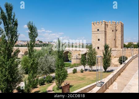 Tour de Calahorra à Cordoue. Forteresse d'origine islamique Banque D'Images