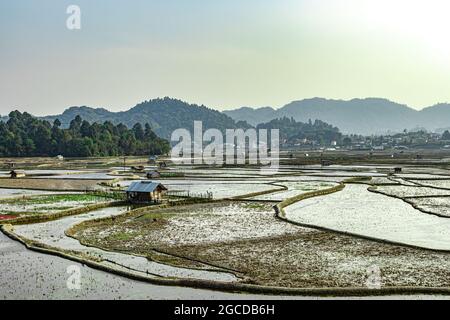 campagne ternish cadrage de riz champ avec de petites huttes au repos au matin image est prise à ziro arunachal pradesh inde. Banque D'Images