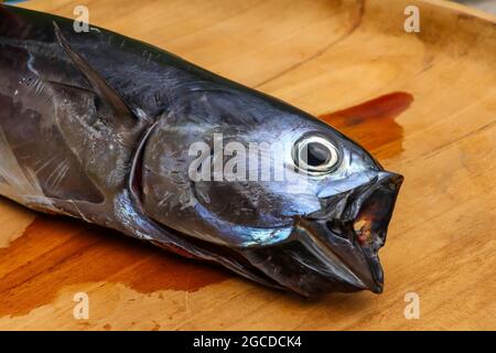 Gros plan du maquereau brut. Poisson frais à bouche ouverte sur une planche en bois Banque D'Images