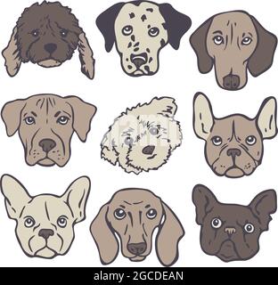 Ensemble d'illustrations vectorielles avec des visages de chien de différentes races. Collection de portraits de chiens mignons. Illustration de Vecteur