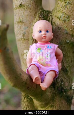 Poupée d'enfant assise sur une branche dans un arbre Banque D'Images