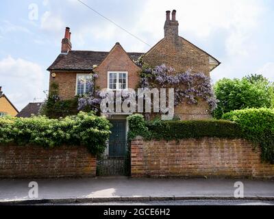 Wisteria sur le devant d'un cottage d'époque, Bennington, East Hertfordshire, à six miles à l'est de Stevenage. Banque D'Images