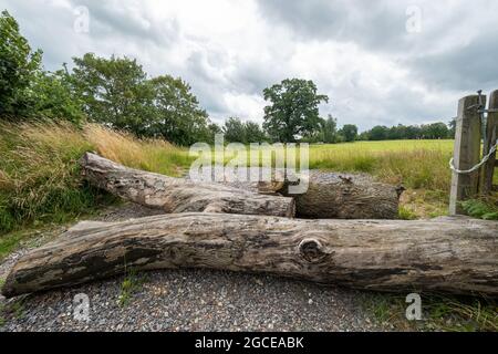 Troncs d'arbres ou bûches à l'entrée d'un champ par mesure de précaution, prévention de la criminalité rurale, Royaume-Uni Banque D'Images