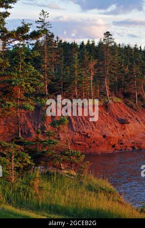 Le soleil couchant met en évidence les falaises côtières rouges le long du détroit de Northumberland, près de Fernwood, à l'Île-du-Prince-Édouard. Banque D'Images