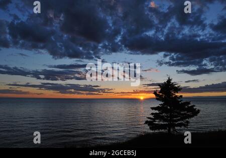 Un arbre solitaire se dresse en silhouette tandis que le soleil se couche sur le détroit de Northumberland à l'Île-du-Prince-Édouard. Banque D'Images