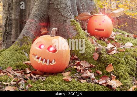 Citrouilles d'Halloween avec des visages effrayants de découpe dans la forêt. Banque D'Images