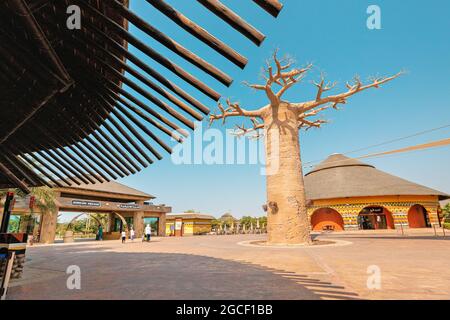 23 février 2021, Dubaï, Émirats Arabes Unis : visiteurs et touristes avec des familles et des enfants près des célèbres baobabs dans le village africain du zoo de Dubaï Banque D'Images