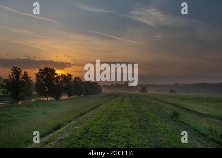 Brouillard et rivière Dyje avec lever de soleil de couleur orange près du village de Bulhary, dans le sud de la Moravie Banque D'Images