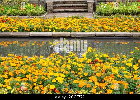 Fleurs orange et jaune dans un jardin formel Banque D'Images