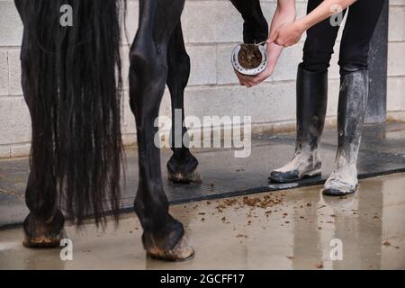 Propriétaire de cheval méconnaissable nettoyant le sabot de cheval avec un picker de sabot. Banque D'Images