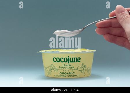 contenant de yogourt biologique au lait de coco de marque cocojune au citron et au sureau, sur fond bleu et à la cuillerée Banque D'Images