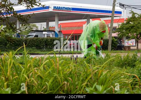 Detroit, Michigan - les bénévoles de l'organisation communautaire Morningside retirent les mauvaises herbes d'un petit parc à la limite de leur quartier. Les étaient W Banque D'Images