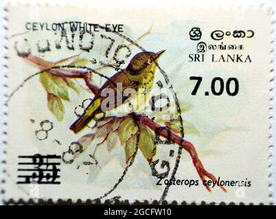 Un timbre-poste imprimé au Sri Lanka montre un oiseau oeil blanc Ceylan sur une branche d'arbre, Zosterops Ceylonensis, 35c., utilisé ancien timbre du Sri Lanka, Circa 1 Banque D'Images