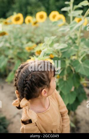 Bonne fille dans le domaine des tournesols Banque D'Images