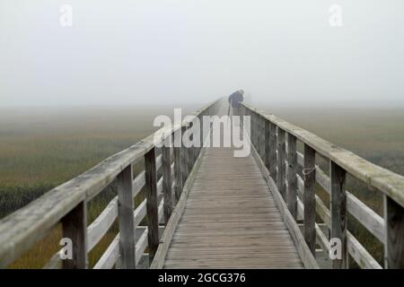 Une figure fantôme enveloppée de brouillard dense le long de la promenade Bass Hole à Yarmouth Port, Massachusetts, sur Cape Cod Banque D'Images