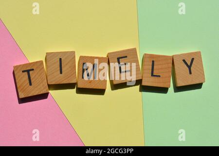 En temps opportun, mot en lettres de l'alphabet de bois isolées sur fond coloré comme titre de bannière Banque D'Images