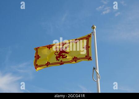 Drapeau endémique de l'Écosse. Banque D'Images