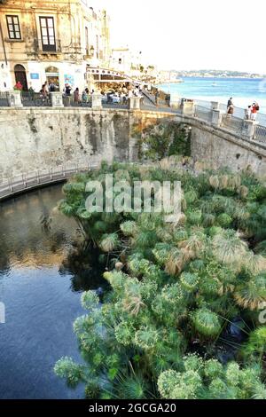 SYRACUSE, ITALIE - 14 juillet 2021 : photo verticale d'une vue sur la fontaine d'Arethusa à Syracuse, en Italie Banque D'Images