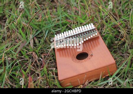 Kalimba, instrument de musique acoustique d'afrique et sa couverture souple à Grass Banque D'Images