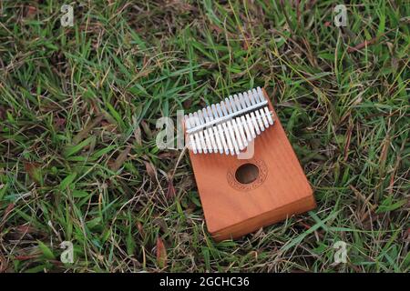 Kalimba, instrument de musique acoustique d'afrique et sa couverture souple à Grass Banque D'Images