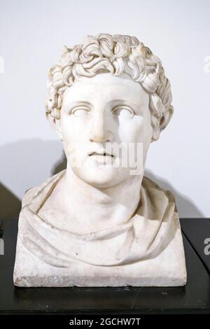 Alexander Demetrius i Poliorcetes (337–283 av. J.-C.) roi de Macédonie (294–288 av. J.-C.) Marble Herculaneum, Villa du Papyri 1er siècle av. J.-C. Banque D'Images