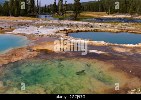 C'est une vue sur les piscines de sources chaudes multicolores de Black Opal Spring dans la région de Biscuit Basin du parc national de Yellowstone, Wyoming, États-Unis. Banque D'Images