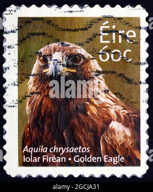 IRLANDE - VERS 2013: Un timbre imprimé en Irlande montre l'aigle doré, aquila chrysaetos, oiseau de proie, vers 2013 Banque D'Images