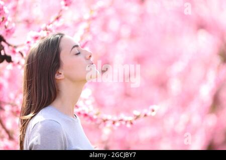 Vue latérale portrait d'une femme qui respire et qui sent des fleurs parfumées dans un champ rose Banque D'Images