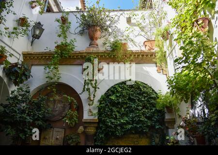 córdoba andalucia españa los patios verde con su macetas 2021 Banque D'Images